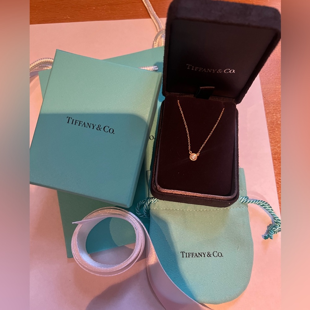 Tiffany and Co. DBY Necklace